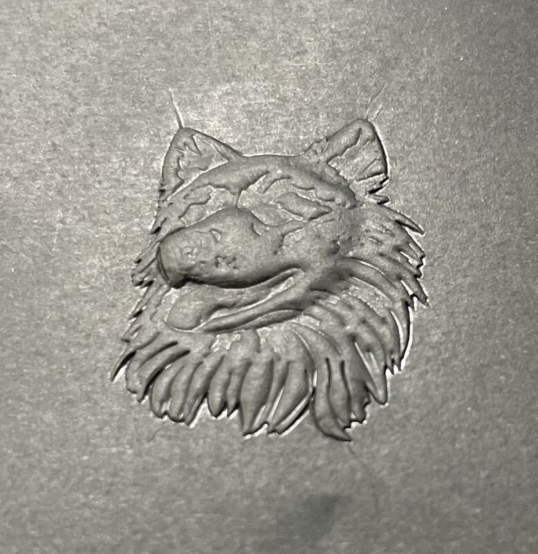 3D 골딩 자동 핫 포리 스탬핑 머신 포장 종이의 전체 범주, 컬러 스탬핑